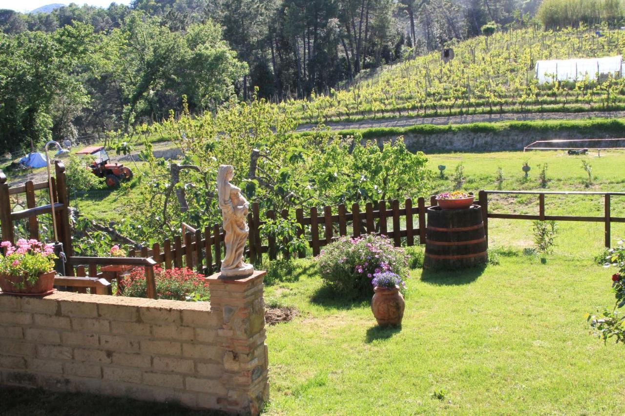 Villa La Casa dei Nonni Chianni Esterno foto