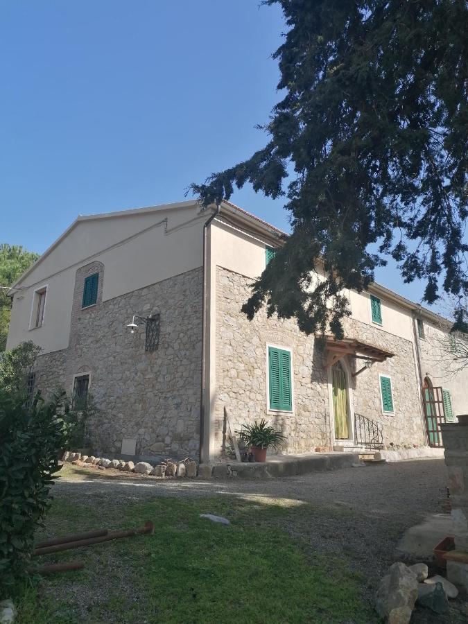 Villa La Casa dei Nonni Chianni Esterno foto